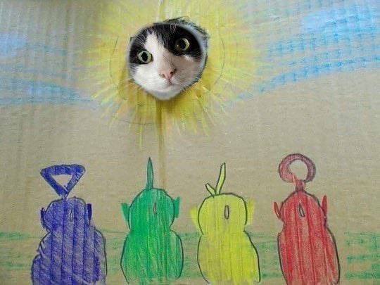 A5CDEE0B-607A-42A9-AF2E-B256BFB9E025.jpeg