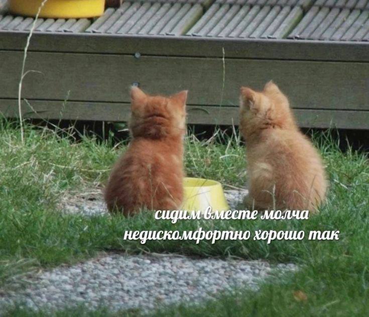 A630A6FE-836F-44F1-9213-C57836744EE8.jpeg