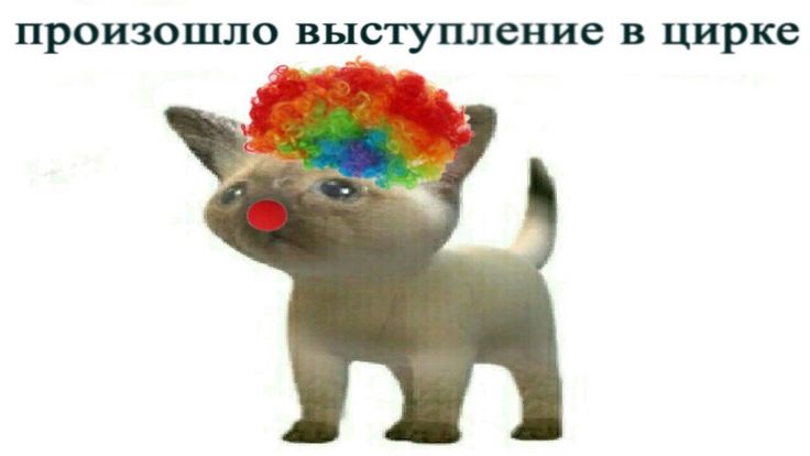 a948328c8801c72b5e757f31980064b4.jpg