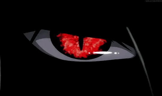 AAC95915-06B3-422E-A23A-E0ED71D737F9.gif