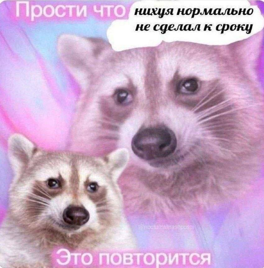 AB7240E9-38A5-45D6-9D8D-EC7BA166E70D.jpeg