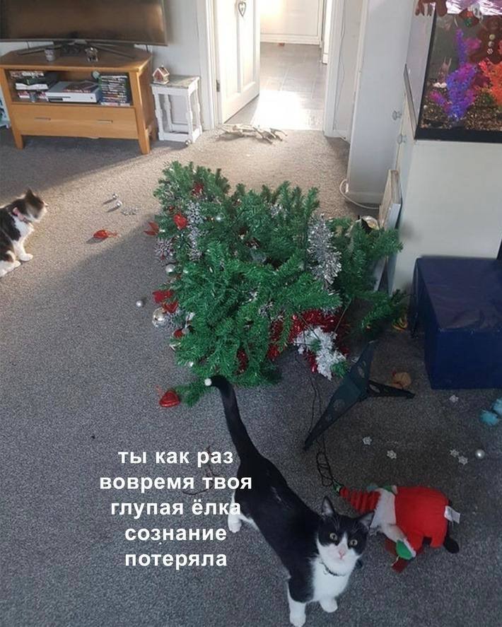 AD2B24C1-DF37-40BD-8CC1-F333893B67C9.jpeg