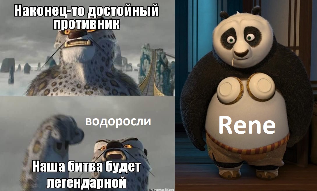af16f2e29d609100f77ec218da88a2dc.jpg