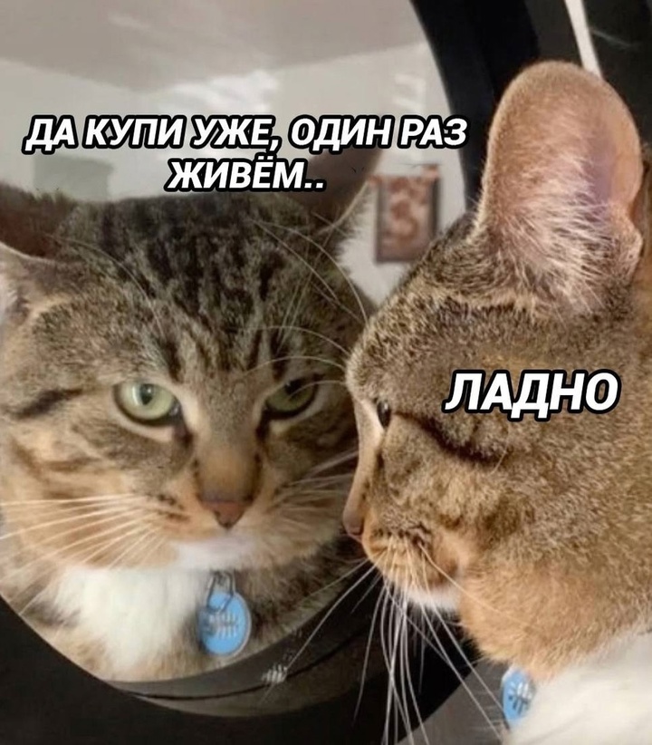 ahtTRcm-T-UpWCvL2H7DrM438LlFav6O_nsT6pKs9nL2DOEMwFNUJV0cTTVfsnW_HwLYIP4X1KJMCyB6CkV-Q3ly.jpg