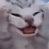 asdczx.jpg