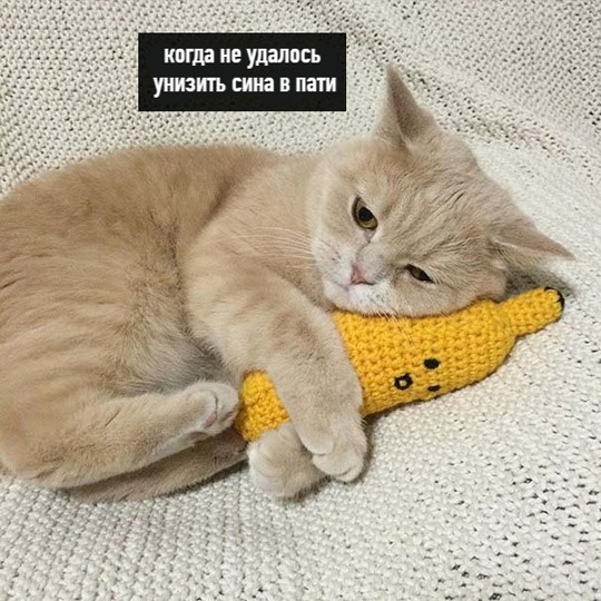At_q9gJNK6f843KfDbxj-S8tx3asT8_hzb1So7MvlAXWE5_uSHoqADEiPMhnykCKr9_uebZjajSjsZPt-1IwBaNu.jpg