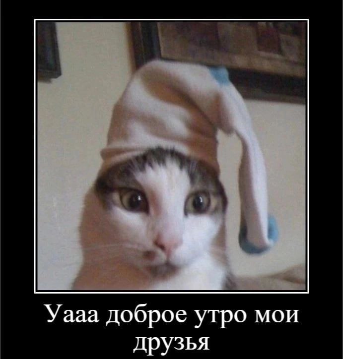 B06B34FF-0DA7-47BA-A2DC-5E43F461B2CB.jpeg