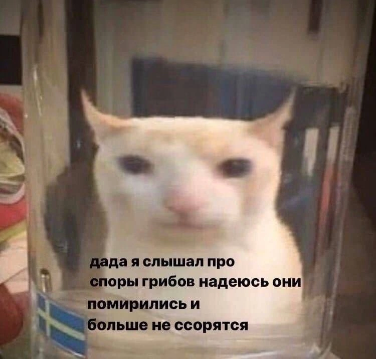 B1D7F65A-221D-48C7-9EA0-E5889B690B0D.png