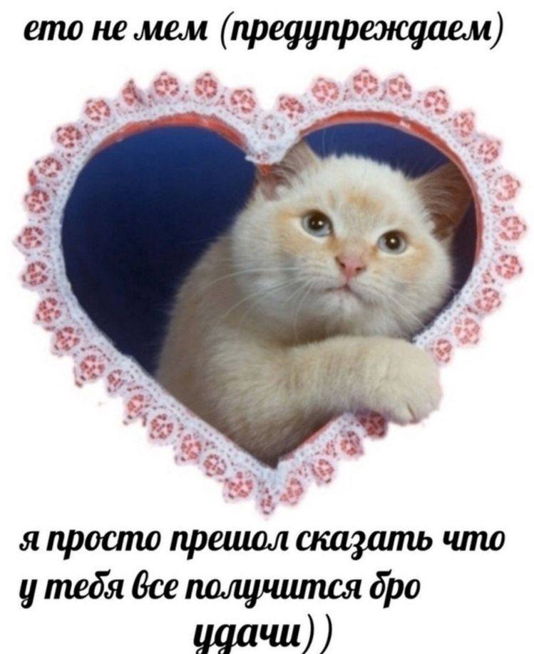 B48C60A4-03A5-4C15-B209-522658217810.jpeg