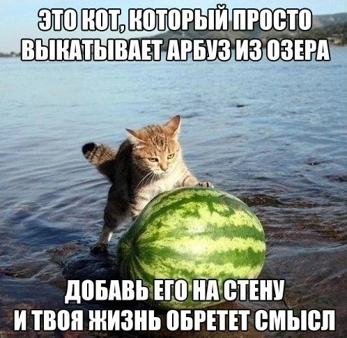 B5577370-F240-411D-8417-84B2DAF196D8.png