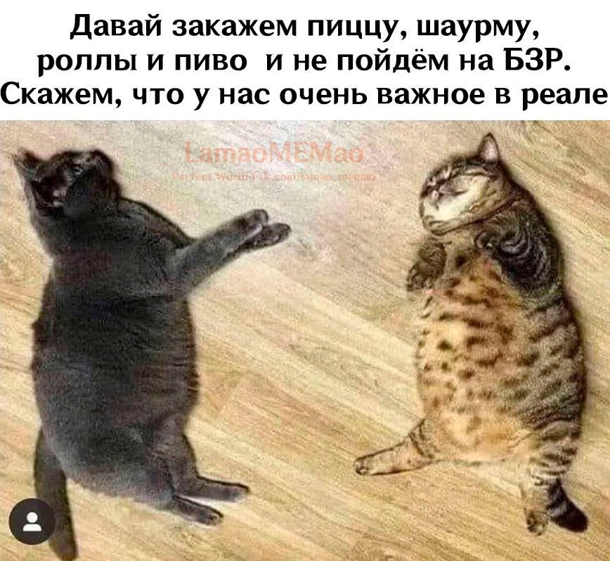 B6sAKAnX_P5HQToy2DxUqwKePVG91M5hi--4JTwTm3fS44L4hoge1_-fJjYr4Xj6AUG_mZ73OnRYY-3bd_KglNA0.jpg