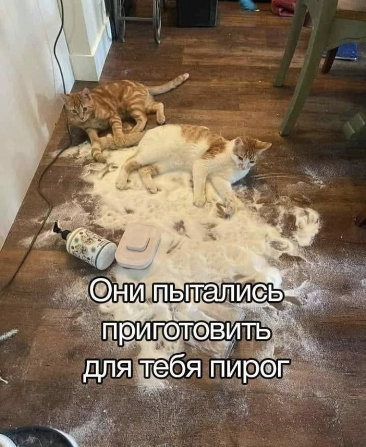 B98A1DC7-B6F2-4517-99A4-D9562C3FAABA.jpeg