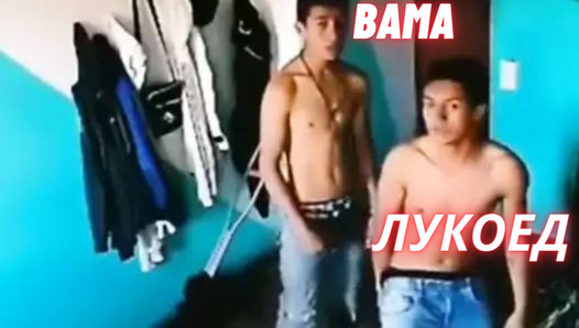 BAMA.png