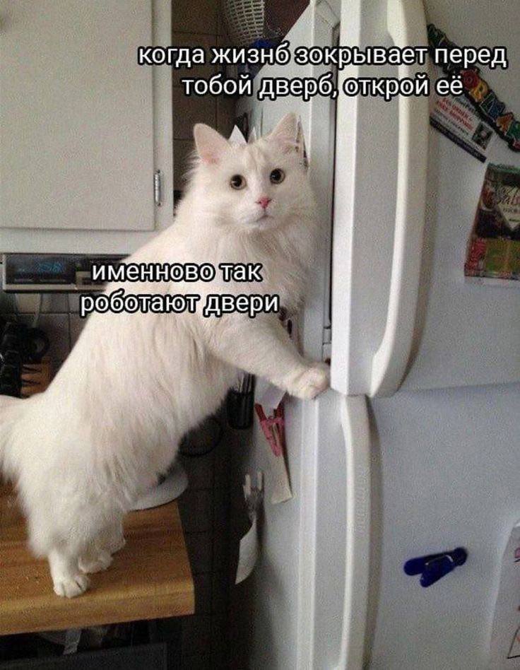 BB867526-99B5-41DD-BAE9-28FD36F7C32B.jpeg