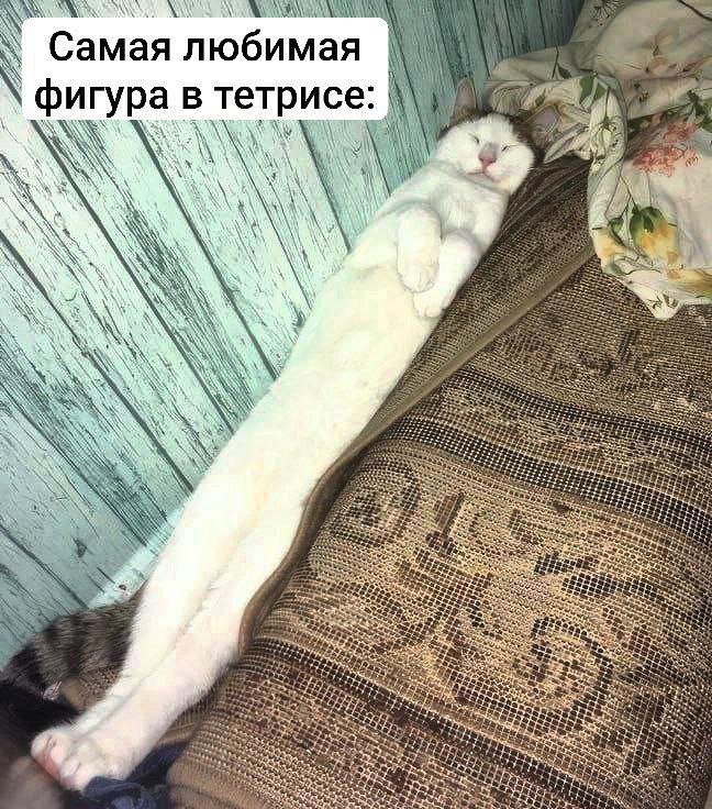 BB9EE6D7-A9F7-4014-8E61-1459D3F0EBB1.jpeg