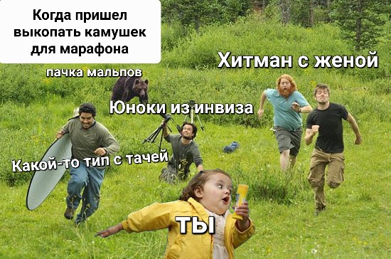 bear.jpg