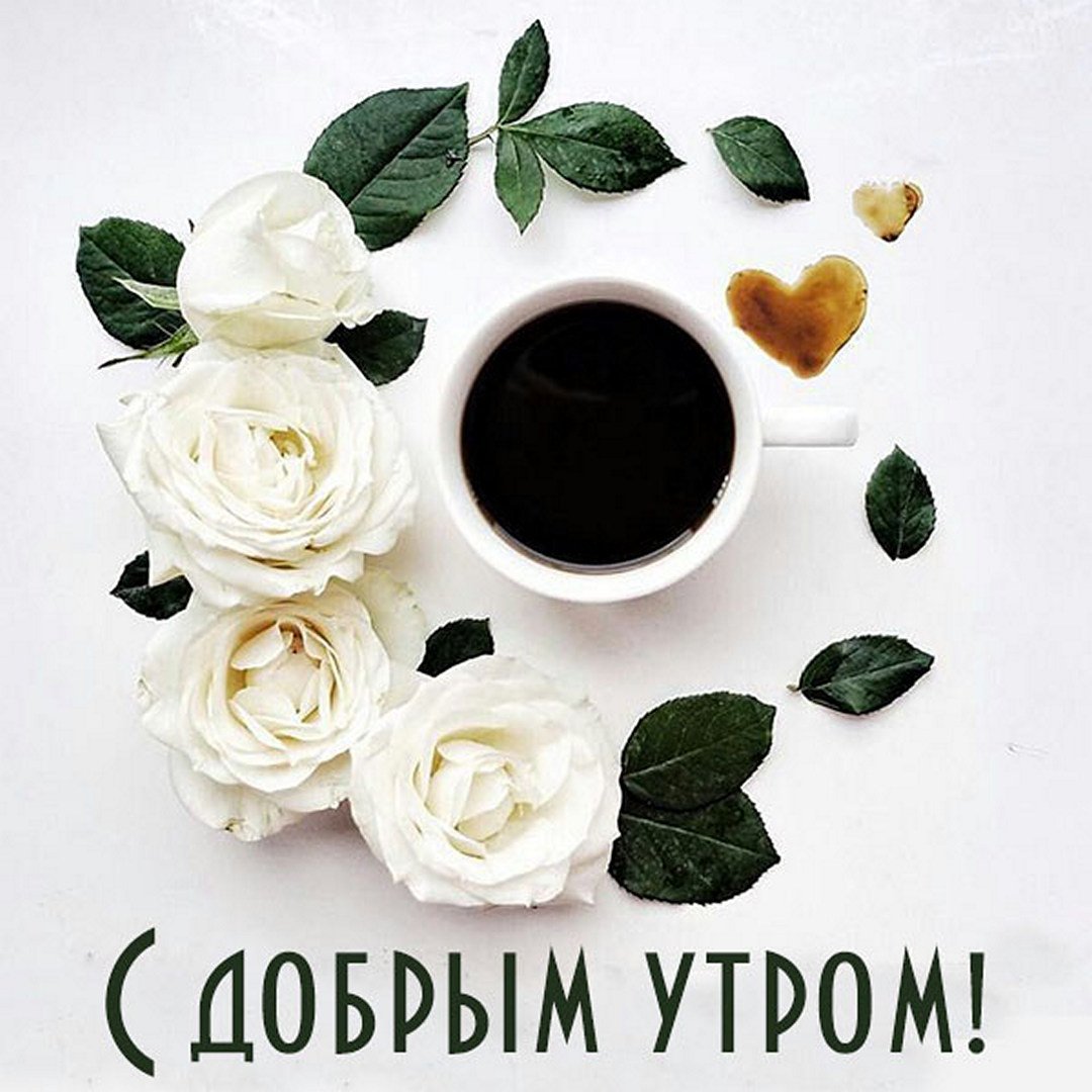 besplatnaya-otkrytka-s-dobrym-outrom.jpg