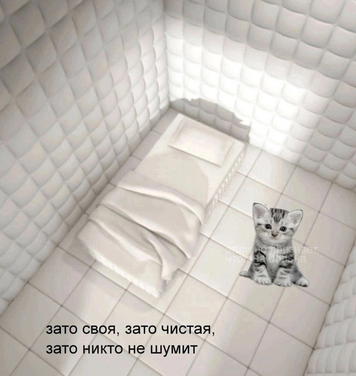 BF650314-4F85-4C6B-90D1-643128F2CA2D.png
