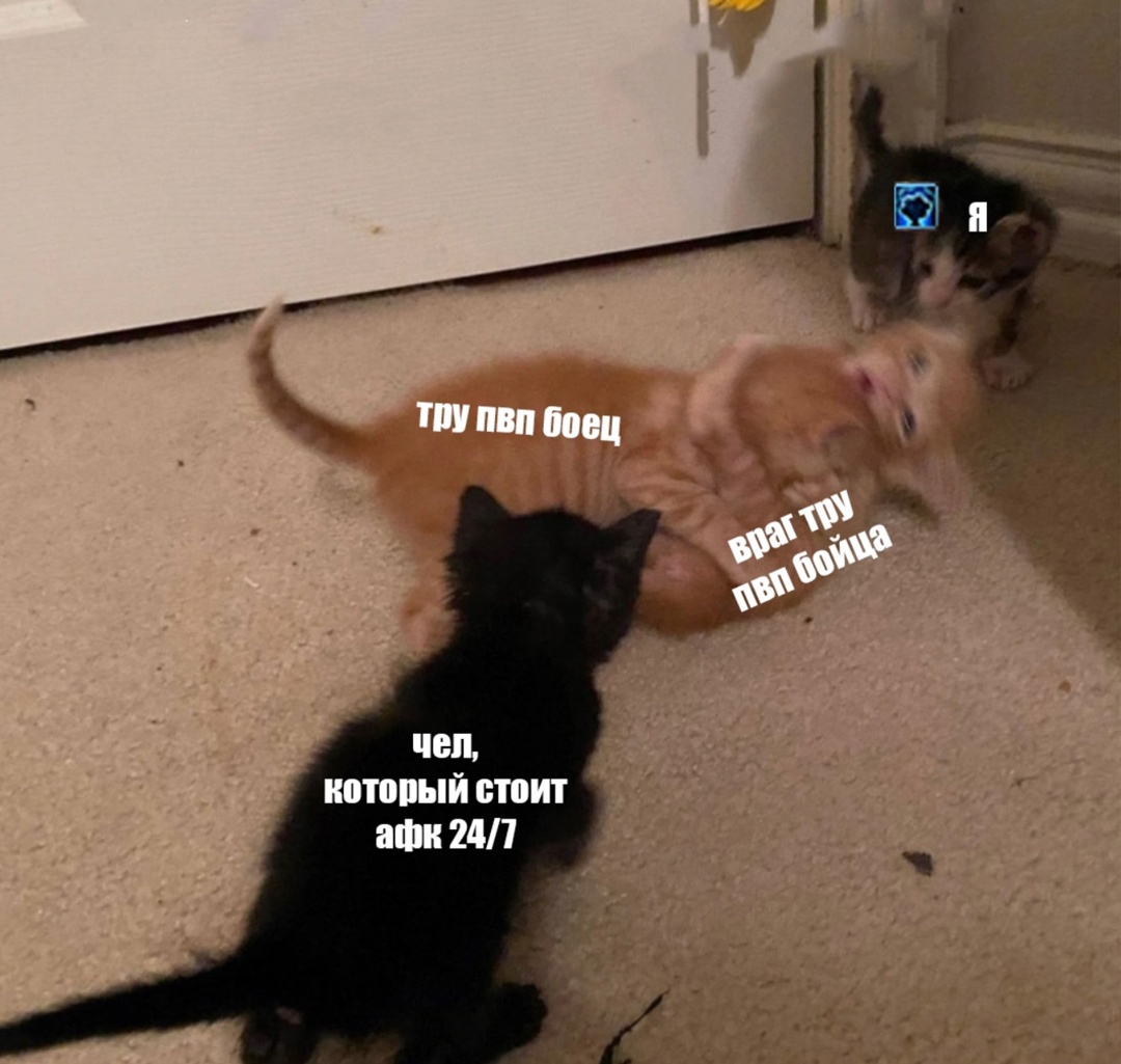 BTOrYUTRoiRXUb-RwyIl20G8tWdF2E_C7XU7owwqgiJ6JguX-4-yMUGkVvwZeWcvdtQCpFFPi56VMgutpcvNljvo.jpg