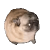 bttvemojis_AgAD4iAAAhq4uUg.gif