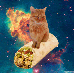 burrito.gif