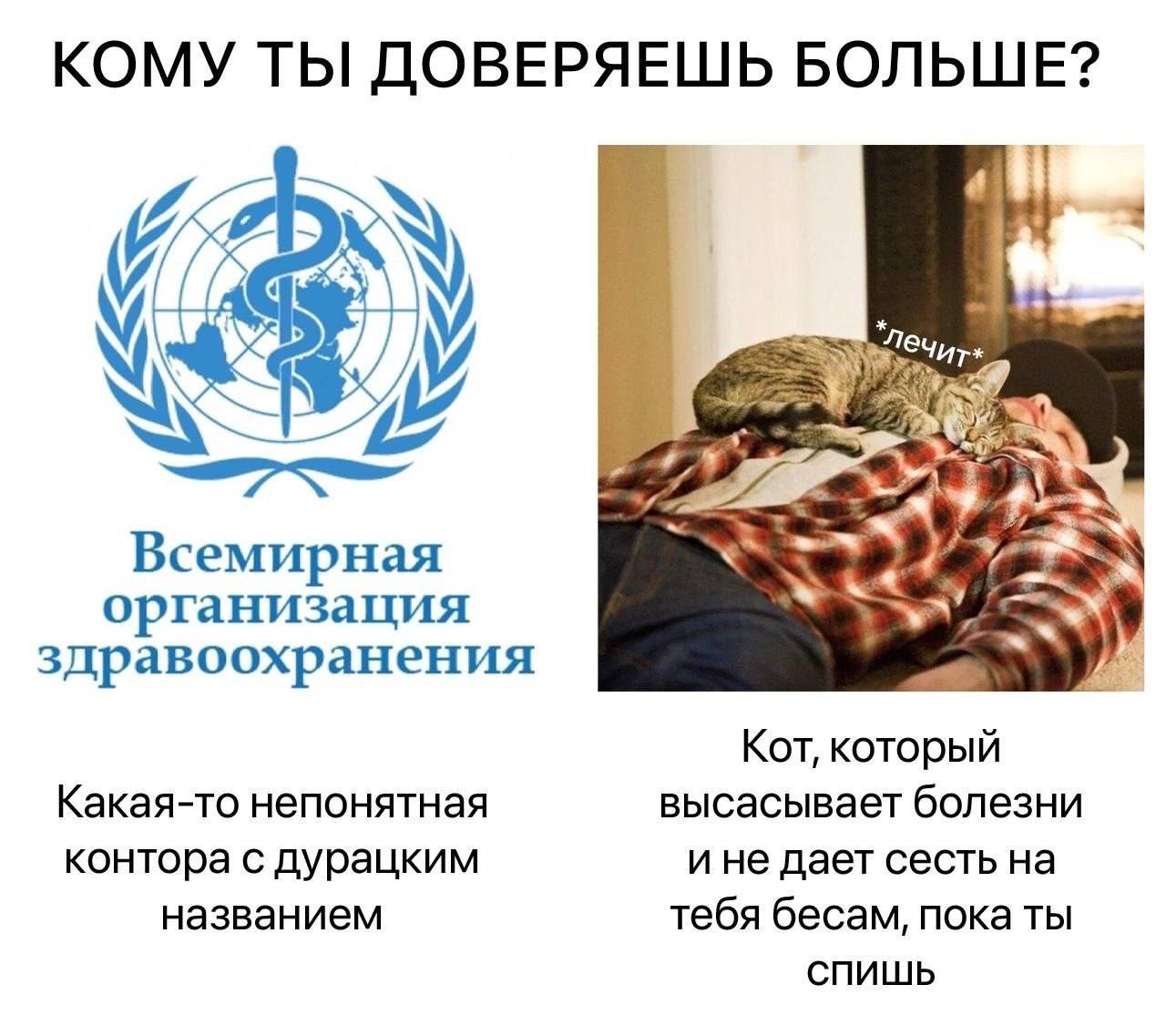 C472D9E4-8CAC-42EC-BE3D-391F40A55B9C.jpeg