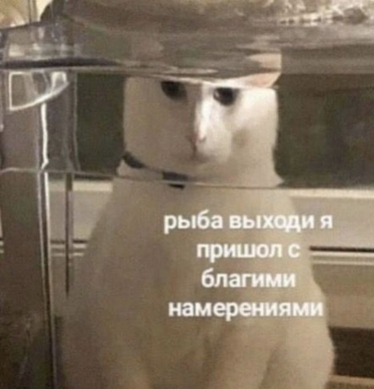 C4E9101C-47D3-4BED-A6E4-6DFE9CFFD7D0.jpeg