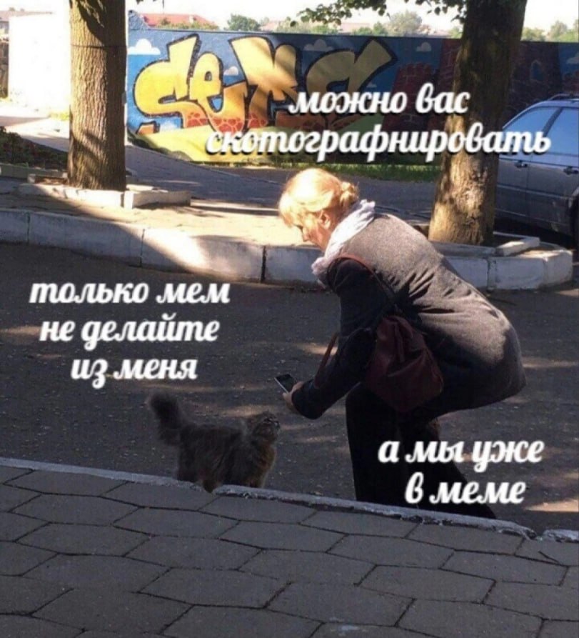 C5CBA9AE-97DD-44B5-8F3A-2E6B6C966256.jpeg