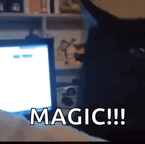 cat-black-cat.gif