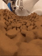 cat-cam-cat-camera.gif