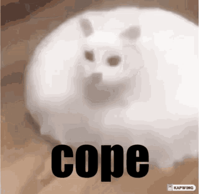 cat-cope.gif