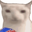 Cat Eating Ruffles Chips.gif
