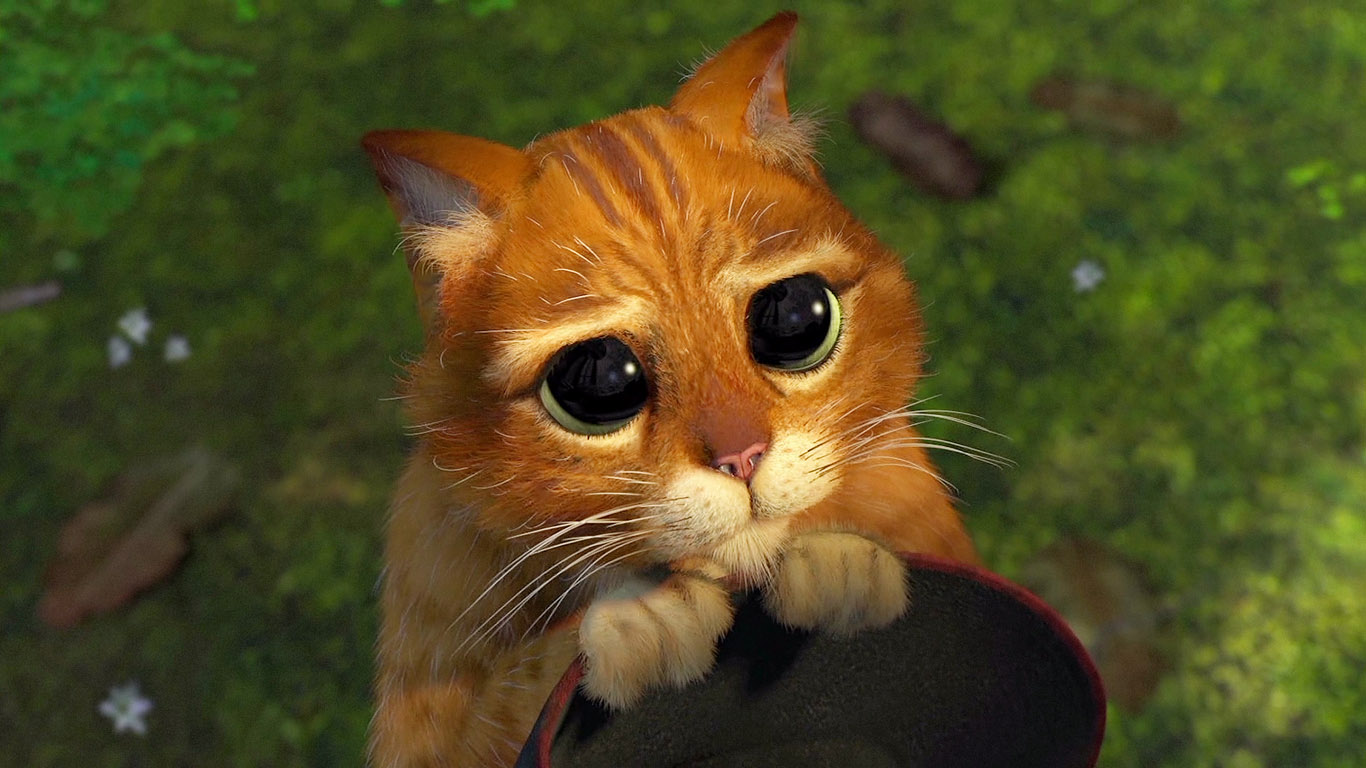 cat-from-Shrek-wallpaper-1366x768.jpg