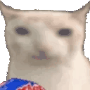 cat-funny.gif