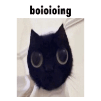 cat-kitty.gif