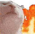 catjam-fire-catjam.gif