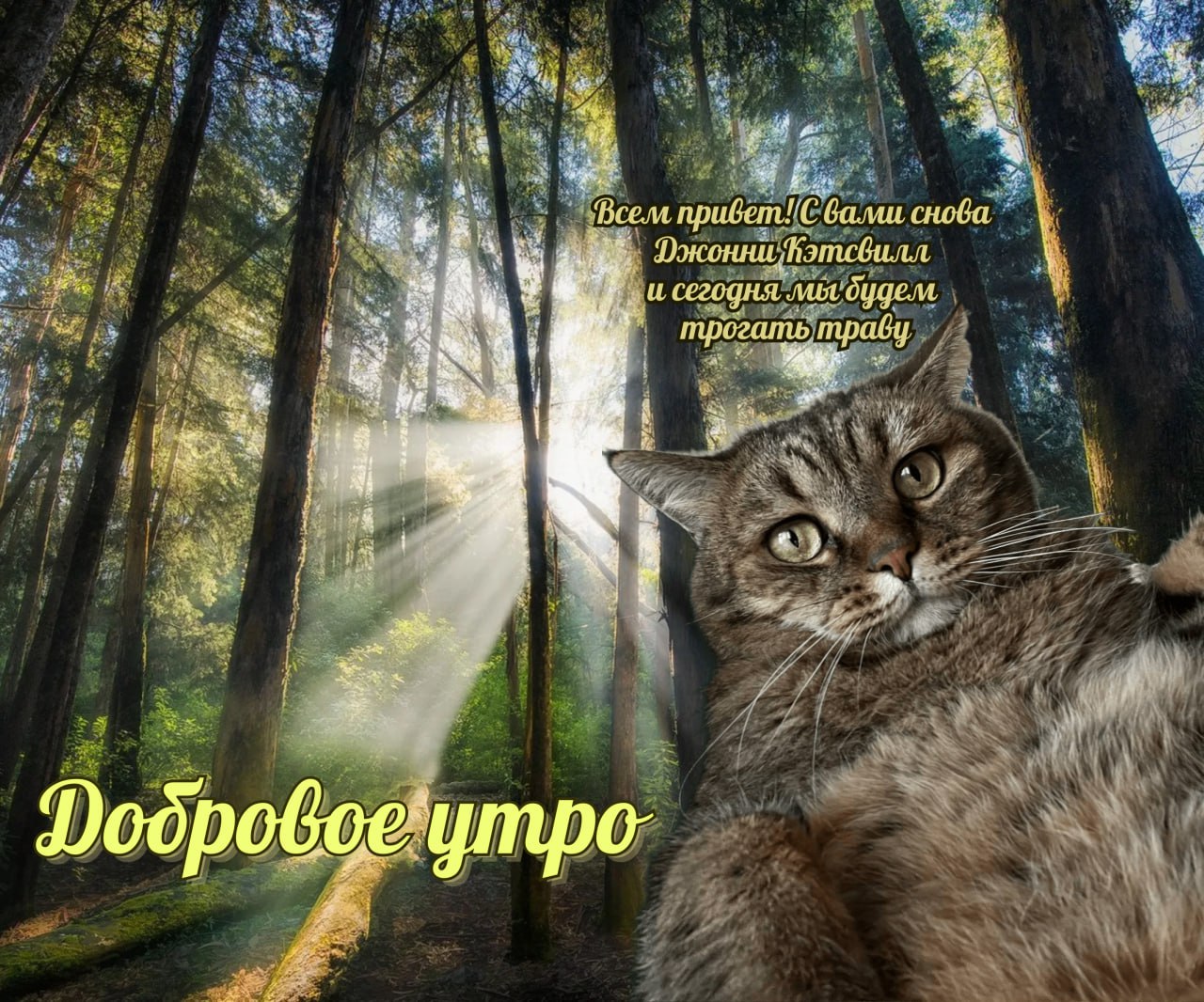 CB33F9A5-056B-4D24-BCE6-8D63F3D7ED0D.jpeg