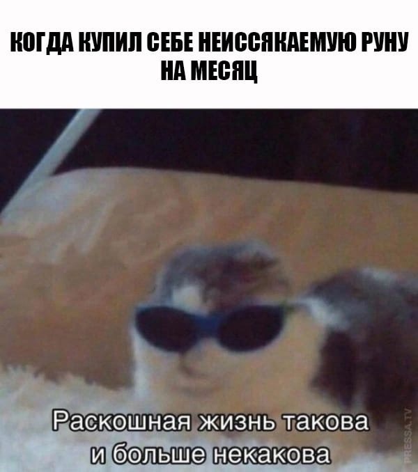 CfRqGKr_dRY9K5GryMhaWsixZS_B5BCsJnQyLQx1C0LZvCySouU9tllaeG0dS6JIZMWpx9wcibj9TwvIEiArzdQj.jpg