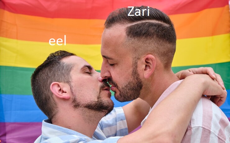 couple-of-men-kissing-behind-a-pride-flag_371418-507.jpg