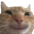 cute-cat-smiling.gif