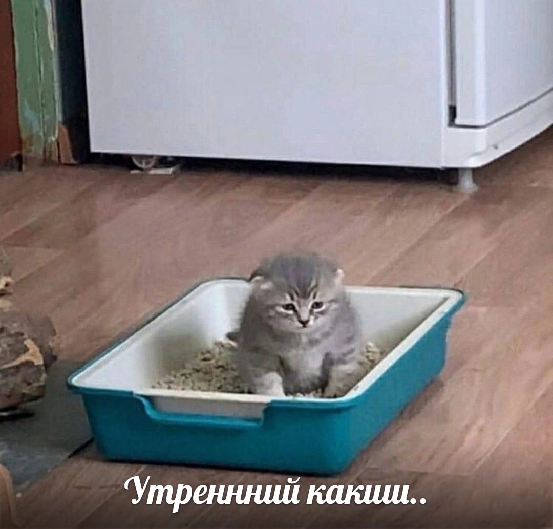 D01FAB5C-CA12-4999-BD26-572F1B0ACAF2.png