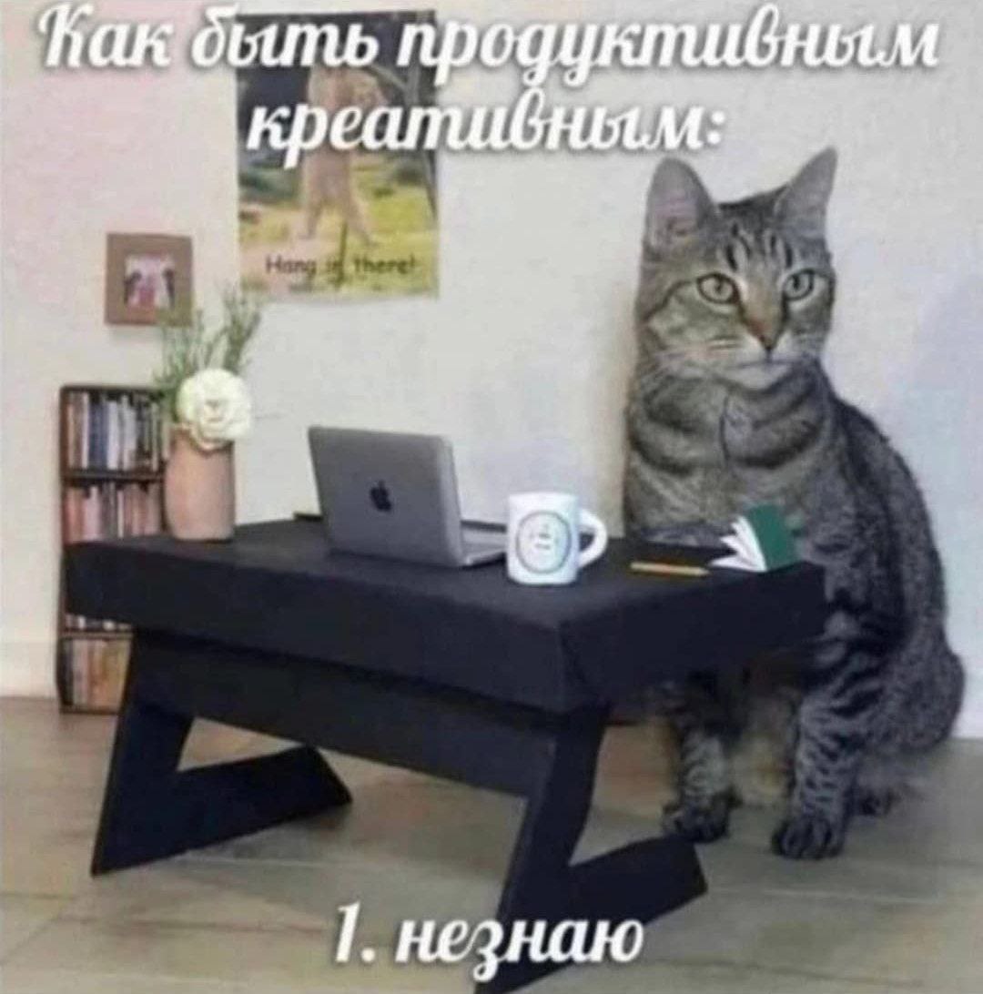 D19A6A9C-F87A-439E-A690-DF93BFA08DFC.jpeg
