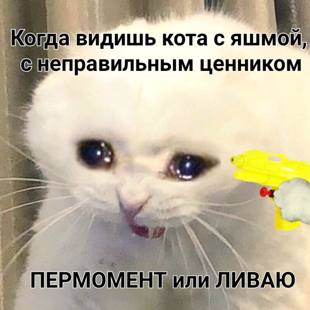 D7oPD2RW0AAZgQn.jpg