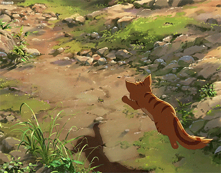 d94ec4ca97009c2d9f5d14c3ebac6636.gif