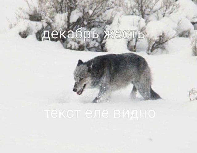 DAE8B358-E649-4310-BAD1-D69A32842901.jpeg