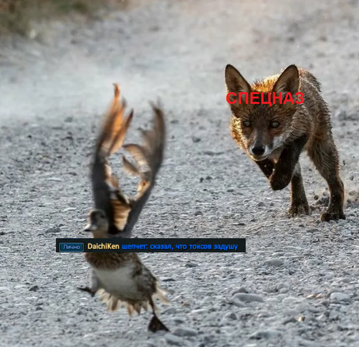 DaichiKen.png