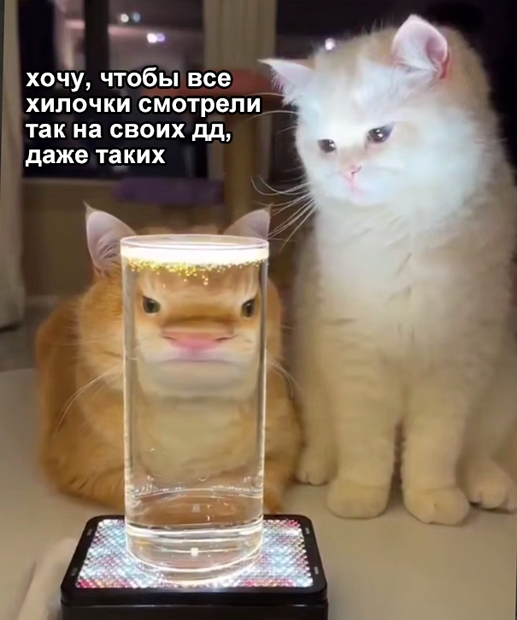 dDCexadAVl3Faq8qLq_5e79e-GE0t9xPjKqCO8cAB0oZHiGRVztOfQm5LFHnfXP8xuz01_fCLIzFkOI81a8RMrCO.jpg