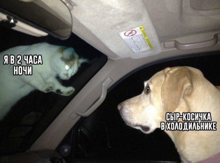 DFE87294-0751-43B4-B506-EE6756F379C2.jpeg