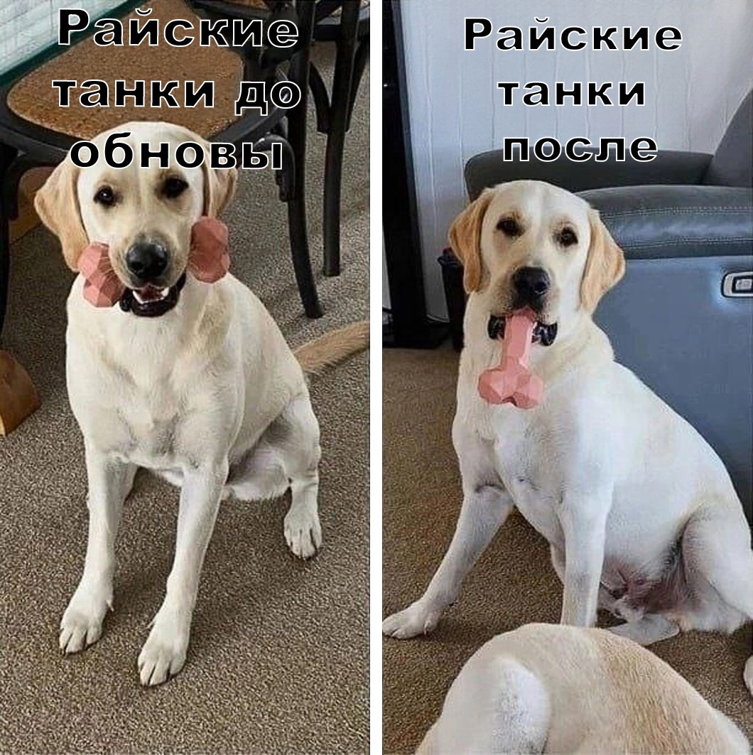 DI7j3TFnCno.jpg
