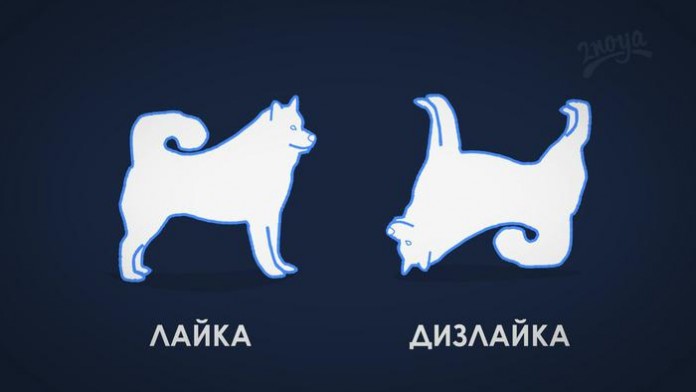 dizlaika-696x392.jpg